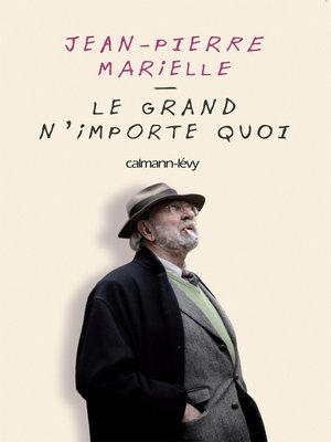 cover image of Le grand n'importe quoi